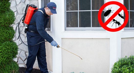 Kofçaz Böcek ve Haşere İlaçlama böcek ilaçlama ve haşere kontrolü — ilaclama-tr.com
